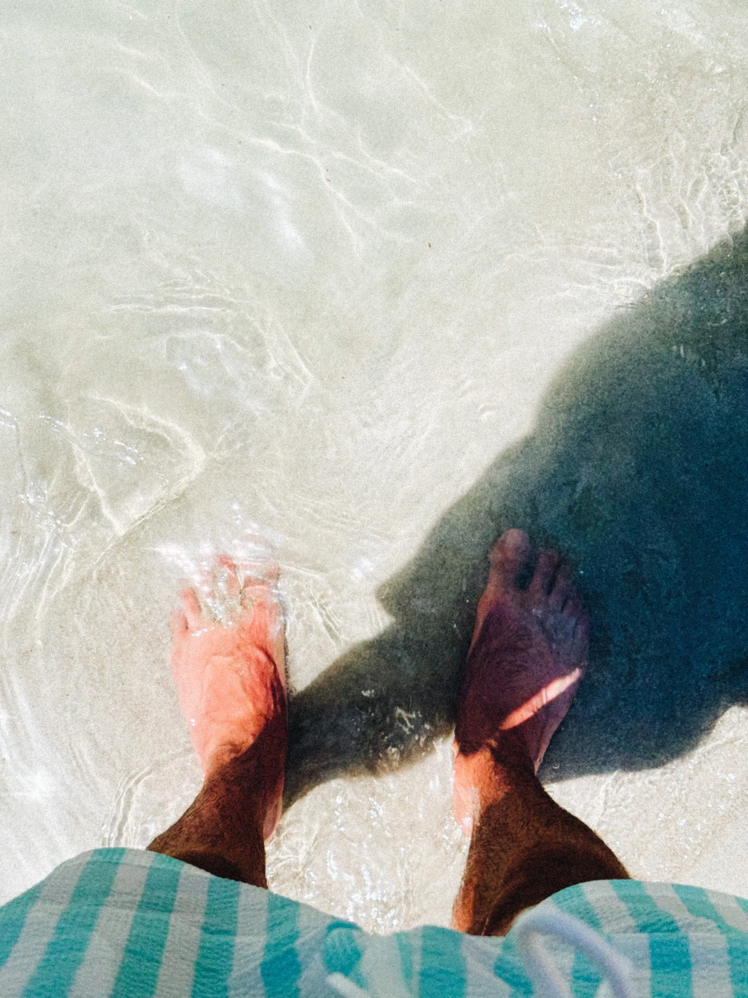 Bare feet standing in shallow, clear water at the shoreline
