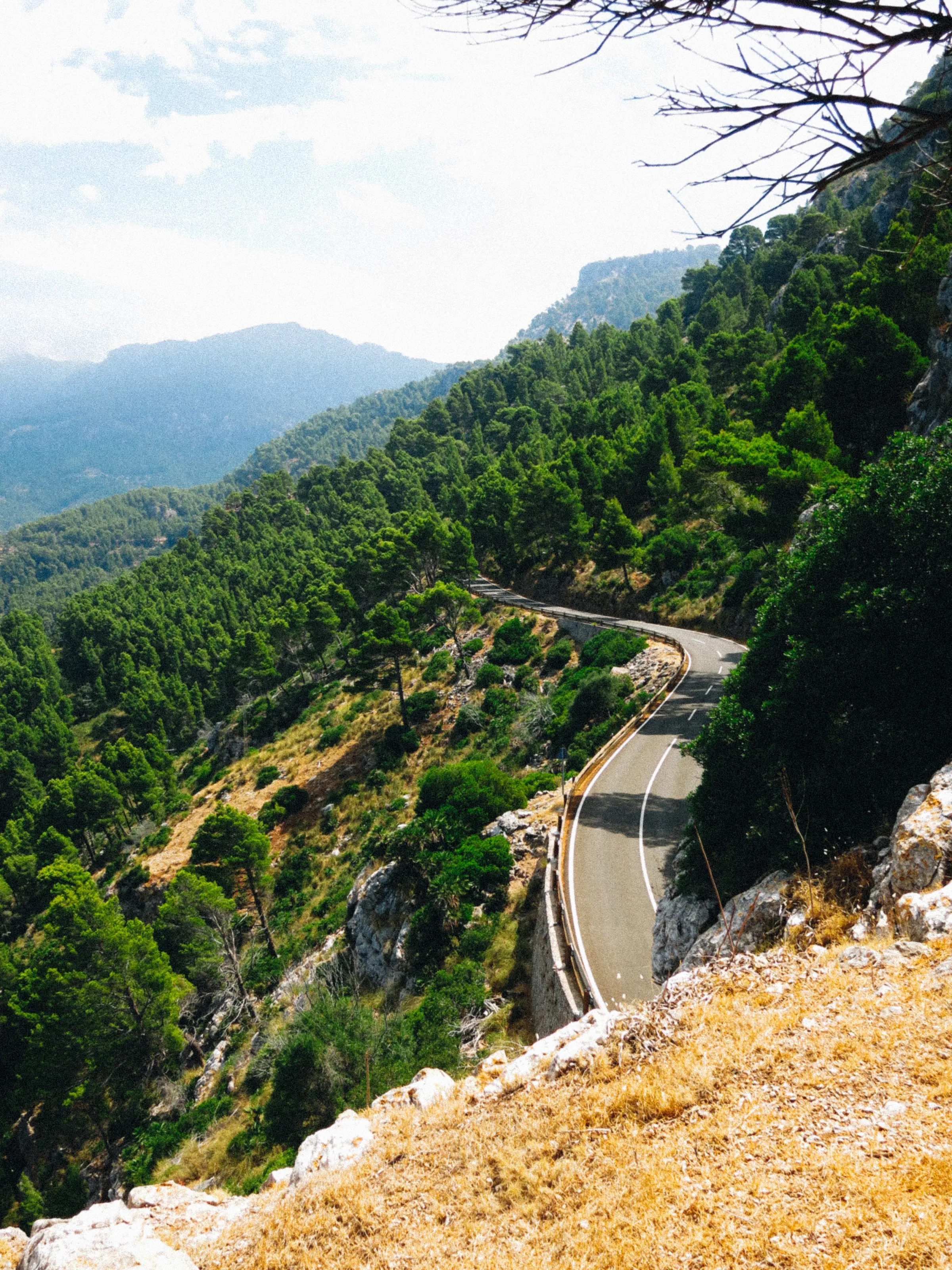 A winding mountain road cut into a forested hillside, seen from above