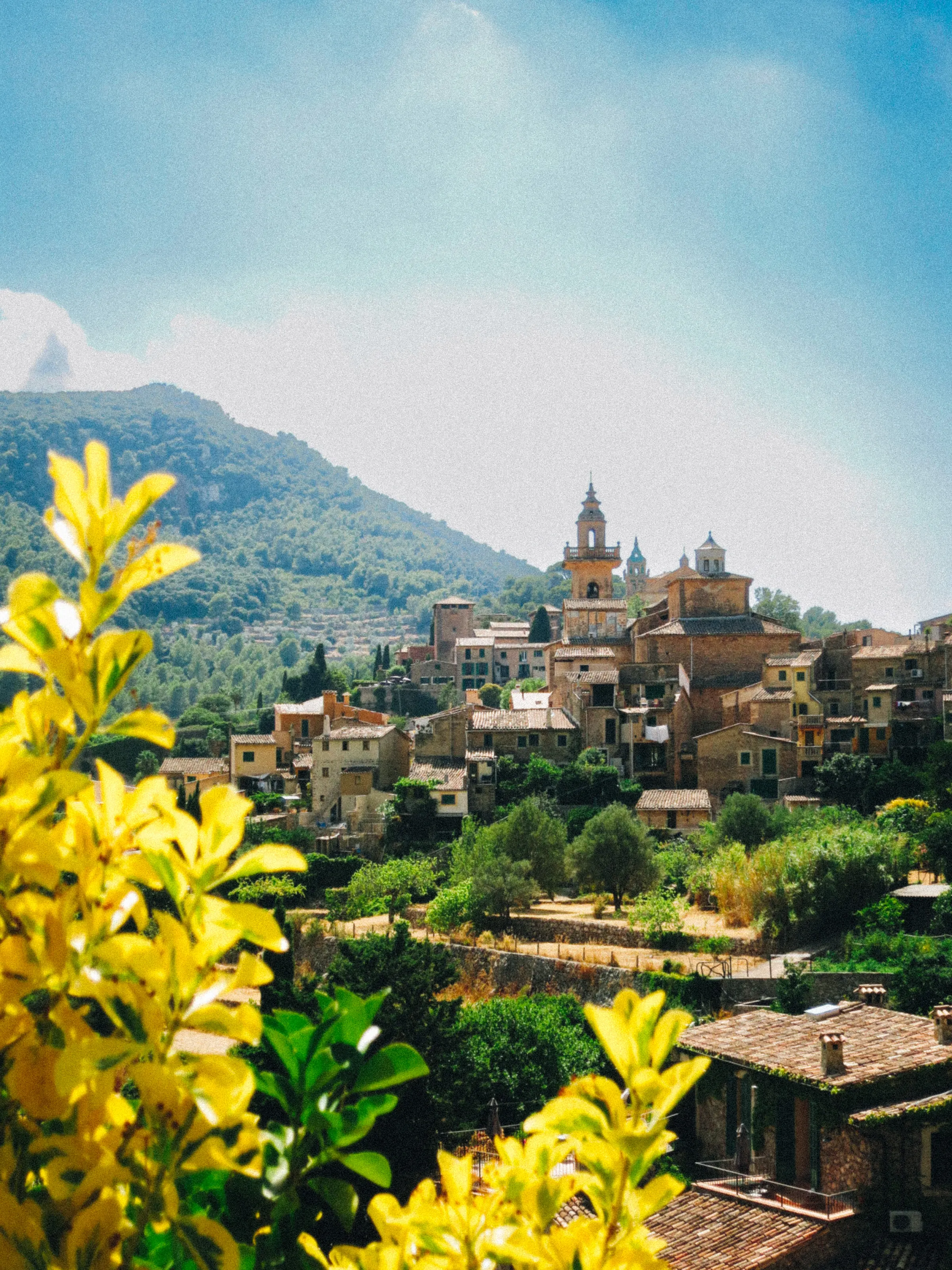 A hillside village with a church tower among terracotta rooftops, a flowering yellow shrub in the foreground