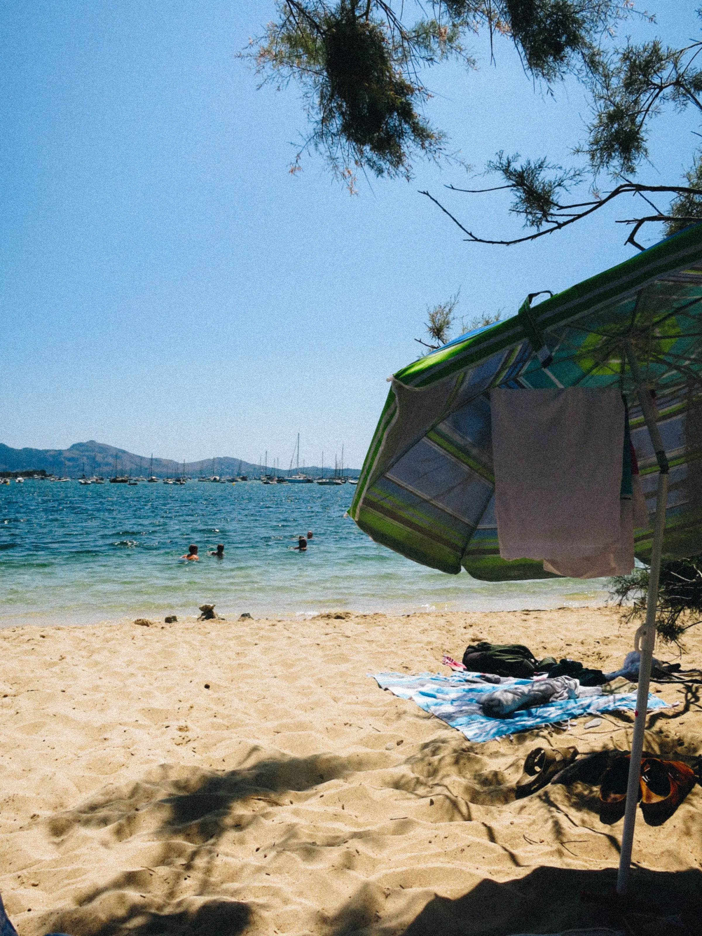 A beach umbrella framed by pine branches, with swimmers and moored sailboats across the bay