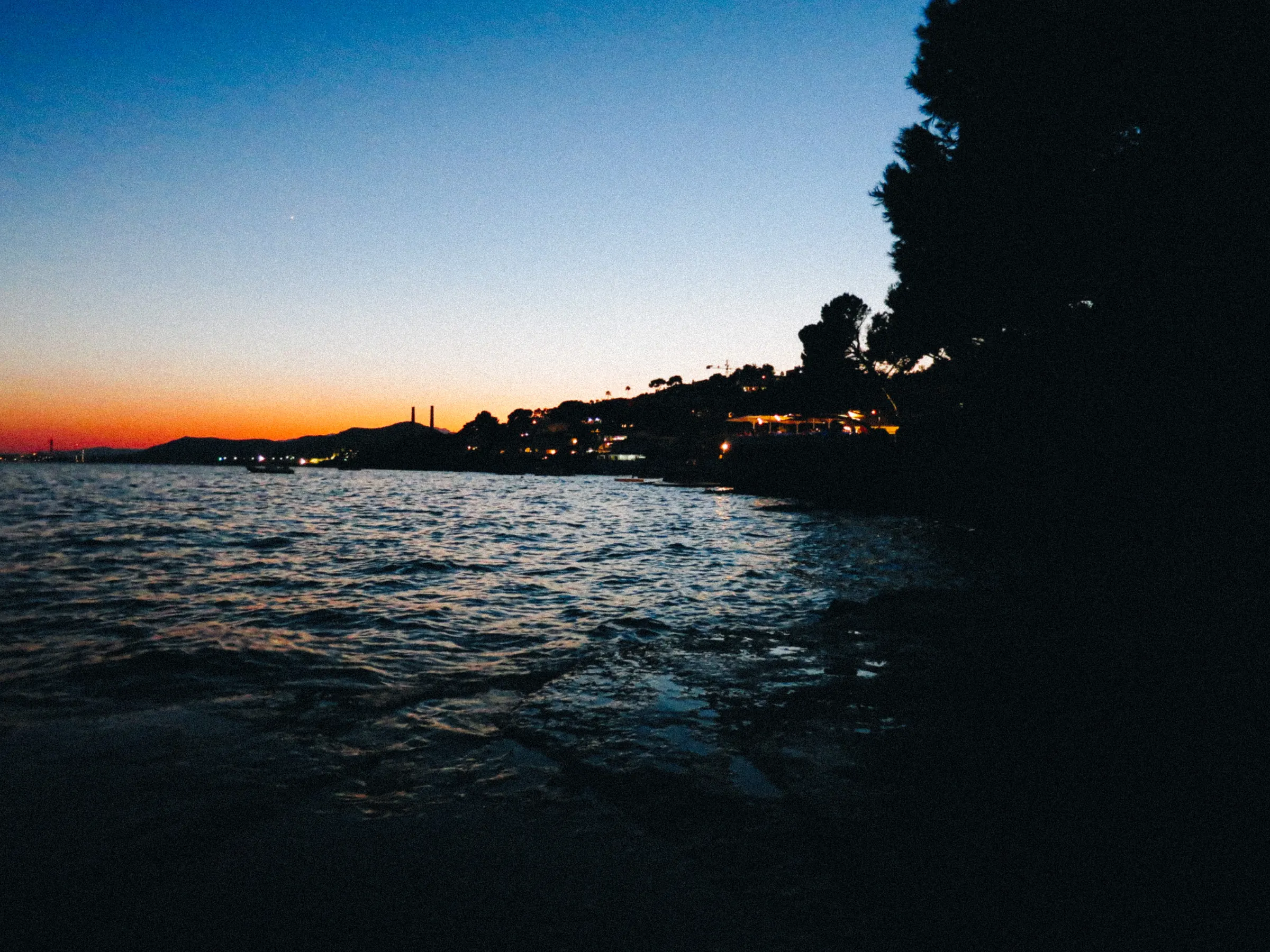 A dusk view along the coast, town lights reflecting on the water beside a silhouetted tree
