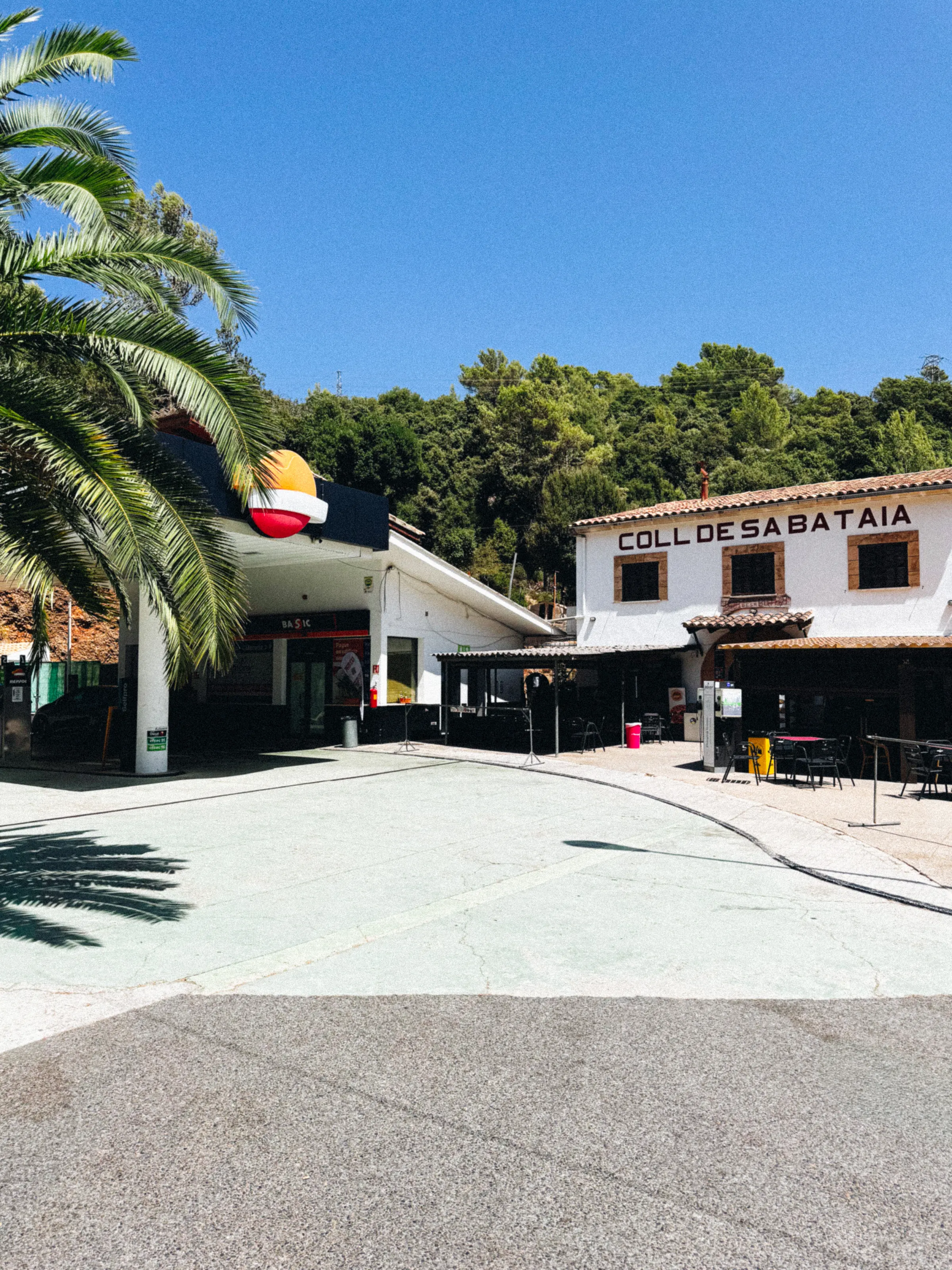 A gas station and the Coll de sa Bataia roadside stop, with a palm tree in front against a clear sky